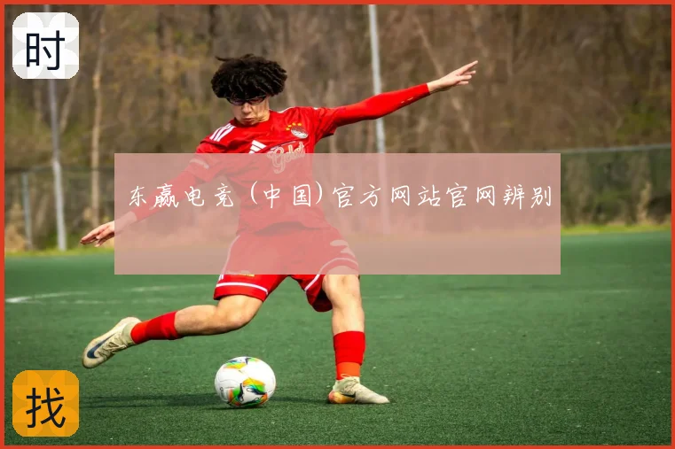 东赢电竞 (中国)官方网站官网辨别
